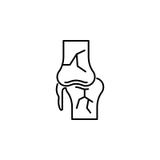 Menselijk het overzichtspictogram van de orgaanknie De tekens en de symbolen kunnen voor Web, embleem, mobiele toepassing, UI, UX vector illustratie Menselijk het overzichtspictogram van de orgaanknie De tekens en de symbolen kunnen voor Web, embleem, mobiele toepassing, UI, UX vector illustratie