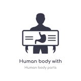menselijk lichaam die met x ray plaat zich op het pictogram van het maagoverzicht concentreren r vector illustratie menselijk lichaam die met x ray plaat zich op het pictogram van het maagoverzicht concentreren r vector illustratie