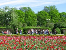 Mensen in het park, open plek van tulpen royalty-vrije stock foto Mensen in het park, open plek van tulpen royalty-vrije stock foto