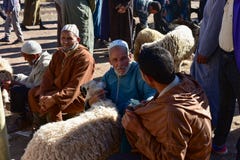 Mercado animal en Marruecos, el negocio de los hombres foto de archivo libre de regalías Mercado animal en Marruecos, el negocio de los hombres foto de archivo libre de regalías