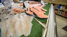 Mercado de pescados diario en Roma Mercado de pescados diario en Roma