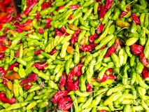 Mercato famoso Chili Stand degli agricoltori di domenica Hollywood fotografie stock libere da diritti Mercato famoso Chili Stand degli agricoltori di domenica Hollywood fotografie stock libere da diritti