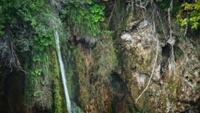 Meren met waterval in Kroatië, Europa Plaats: Plitvice, Nationale jezera van Parkplitvicka stock footage Meren met waterval in Kroatië, Europa Plaats: Plitvice, Nationale jezera van Parkplitvicka stock footage