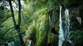 Meren met waterval in Kroatië Plaats: Plitvice, Nationale jezera van Parkplitvicka stock video Meren met waterval in Kroatië Plaats: Plitvice, Nationale jezera van Parkplitvicka stock video