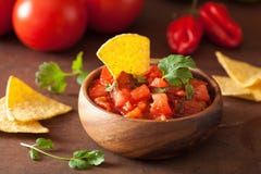 Mergulho da salsa e microplaquetas de tortilha mexicanos dos nachos fotos de stock royalty free Mergulho da salsa e microplaquetas de tortilha mexicanos dos nachos fotos de stock royalty free