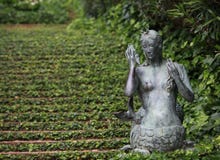 mermaid immagine stock mermaid immagine stock