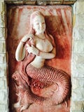 mermaid immagini stock libere da diritti mermaid immagini stock libere da diritti