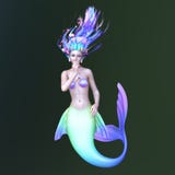mermaid fotografia stock mermaid fotografia stock