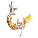 mermaid fotografia stock libera da diritti mermaid fotografia stock libera da diritti