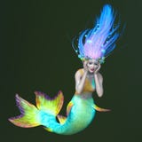 mermaid immagine stock mermaid immagine stock