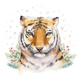 Merry Christmas watercolor lettering with isolated cute cartoon watercolor fun Siberian tiger illustration. Hand drawing royalty free illustration Merry Christmas watercolor lettering with isolated cute cartoon watercolor fun Siberian tiger illustration. Hand drawing royalty free illustration
