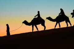 Merzouga, Марокко - 3-ье декабря 2018: осветите заход солнца контржурным светом верблюдов стоковое изображение rf Merzouga, Марокко - 3-ье декабря 2018: осветите заход солнца контржурным светом верблюдов стоковое изображение rf