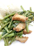 Mescoli Fried Water Spinach con la salsa di soia e del peperoncino rosso e la carne di maiale croccante sul piatto bianco isolato immagine stock Mescoli Fried Water Spinach con la salsa di soia e del peperoncino rosso e la carne di maiale croccante sul piatto bianco isolato immagine stock