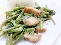 Mescoli Fried Water Spinach con la salsa di soia e del peperoncino rosso e la carne di maiale croccante sul piatto bianco isolato immagine stock libera da diritti Mescoli Fried Water Spinach con la salsa di soia e del peperoncino rosso e la carne di maiale croccante sul piatto bianco isolato immagine stock libera da diritti