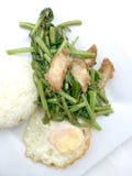 Mescoli Fried Water Spinach con la salsa di soia e del peperoncino rosso e la carne di maiale croccante sul piatto bianco isolato immagine stock Mescoli Fried Water Spinach con la salsa di soia e del peperoncino rosso e la carne di maiale croccante sul piatto bianco isolato immagine stock