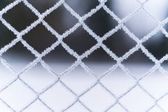 Mesh fence. icy. frost on the grid fence stock photo Mesh fence. icy. frost on the grid fence stock photo