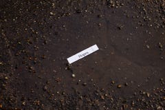 Message de fortune Photographie stock libre de droits Message de fortune Photographie stock libre de droits