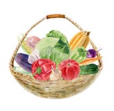 Met de hand geschilderde waterverf clipart met verse groenten in mand stock afbeeldingen Met de hand geschilderde waterverf clipart met verse groenten in mand stock afbeeldingen