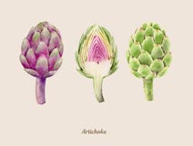 Met de hand geschilderde waterverfaffiche met artisjokken stock illustratie Met de hand geschilderde waterverfaffiche met artisjokken stock illustratie