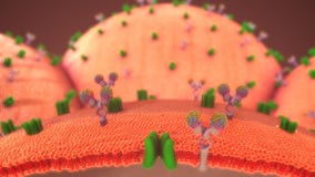 Metabolismo de la glucosa imagenes de archivo Metabolismo de la glucosa imagenes de archivo