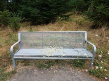 Metal bench or chair with grasses and weeds growing through royalty free stock images Metal bench or chair with grasses and weeds growing through royalty free stock images
