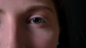 Metragem próxima do olho verde da mulher bonita nova, parte da cara isolada no fundo preto, retrato da beleza video estoque Metragem próxima do olho verde da mulher bonita nova, parte da cara isolada no fundo preto, retrato da beleza video estoque