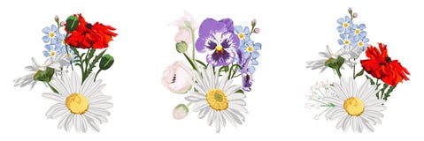 Metta dei mazzi dei fiori selvaggi, della margherita della camomilla, dei germogli, del papavero rosso, della viola e del nontisc illustrazione di stock Metta dei mazzi dei fiori selvaggi, della margherita della camomilla, dei germogli, del papavero rosso, della viola e del nontisc illustrazione di stock
