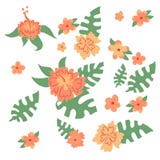 Metta della foglia hawaiana della natura delle foglie di monstera e dei fiori illustrazione vettoriale Metta della foglia hawaiana della natura delle foglie di monstera e dei fiori illustrazione vettoriale