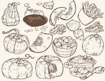 Metta delle verdure delle illustrazioni - zucca illustrazione di stock Metta delle verdure delle illustrazioni - zucca illustrazione di stock