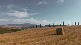 Meule de foin et champs près de ` Orcia, Italie de San Quirico d photo stock Meule de foin et champs près de ` Orcia, Italie de San Quirico d photo stock