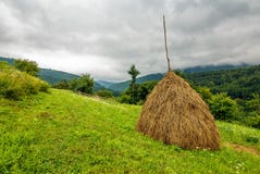Meule de foin près de verger sur le flanc de coteau image libre de droits Meule de foin près de verger sur le flanc de coteau image libre de droits