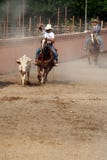 Mexican charros cowboy lassoing a bull, TX, US Royalty Free Stock Photography Mexican charros cowboy lassoing a bull, TX, US Royalty Free Stock Photography