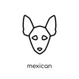 Mexican Hairless Dog dog icon. Trendy modern flat linear vector royalty free illustration Mexican Hairless Dog dog icon. Trendy modern flat linear vector royalty free illustration