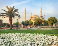 Mezquita azul, Estambul, Turquía fotografía de archivo libre de regalías Mezquita azul, Estambul, Turquía fotografía de archivo libre de regalías