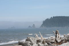 Mglistej góry wyspa z Driftwood przy kantor plażą Olimpijski park narodowy, WA zdjęcia royalty free Mglistej góry wyspa z Driftwood przy kantor plażą Olimpijski park narodowy, WA zdjęcia royalty free