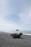 Mglistej góry wyspa z Driftwood przy kantor plażą Olimpijski park narodowy, WA fotografia royalty free Mglistej góry wyspa z Driftwood przy kantor plażą Olimpijski park narodowy, WA fotografia royalty free