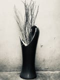 Mi florero quebrado hermoso fotografía de archivo Mi florero quebrado hermoso fotografía de archivo