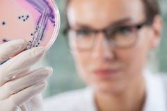 Microbiologiste tenant une boîte de Pétri avec des bactéries photo stock Microbiologiste tenant une boîte de Pétri avec des bactéries photo stock