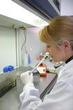 Microbiology researcher