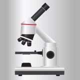 Microscope argenté de laboratoire illustration libre de droits Microscope argenté de laboratoire illustration libre de droits