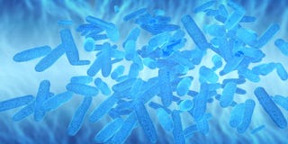 Microscopic view of virus and bacteria Cells royalty free illustration Microscopic view of virus and bacteria Cells royalty free illustration