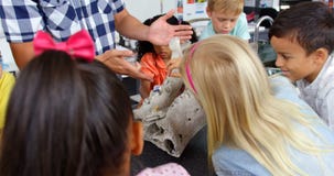 Mid section of male teacher explaining animal skeleton model in the classroom 4k stock video footage Mid section of male teacher explaining animal skeleton model in the classroom 4k stock video footage