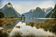 Milford Sound New Zealand royalty free stock photos Milford Sound New Zealand royalty free stock photos