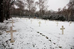 Military Cemetery Stock Images