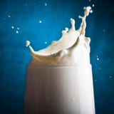 Milk splash Royalty Free Stock Photo Milk splash Royalty Free Stock Photo