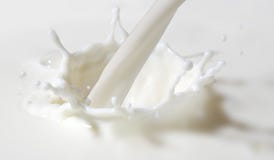 Milk Splash Royalty Free Stock Photography Milk Splash Royalty Free Stock Photography