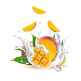 Milk splash 3d illustration with falling slices of mango fruit c vector illustration Milk splash 3d illustration with falling slices of mango fruit c vector illustration