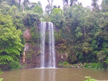 Millaa Millaa Falls, Australia royalty free stock photos Millaa Millaa Falls, Australia royalty free stock photos