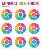 Mineral rich foods infographics. stock illustration Mineral rich foods infographics. stock illustration