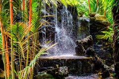 Mini cascada en el jardín para la relajación como decoración en o foto de archivo Mini cascada en el jardín para la relajación como decoración en o foto de archivo